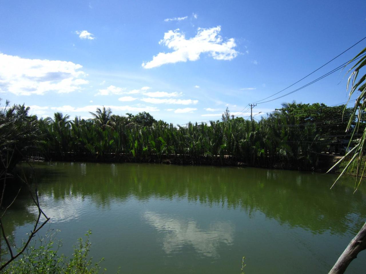 Hoi An Silverbell Villa Ngoại thất bức ảnh