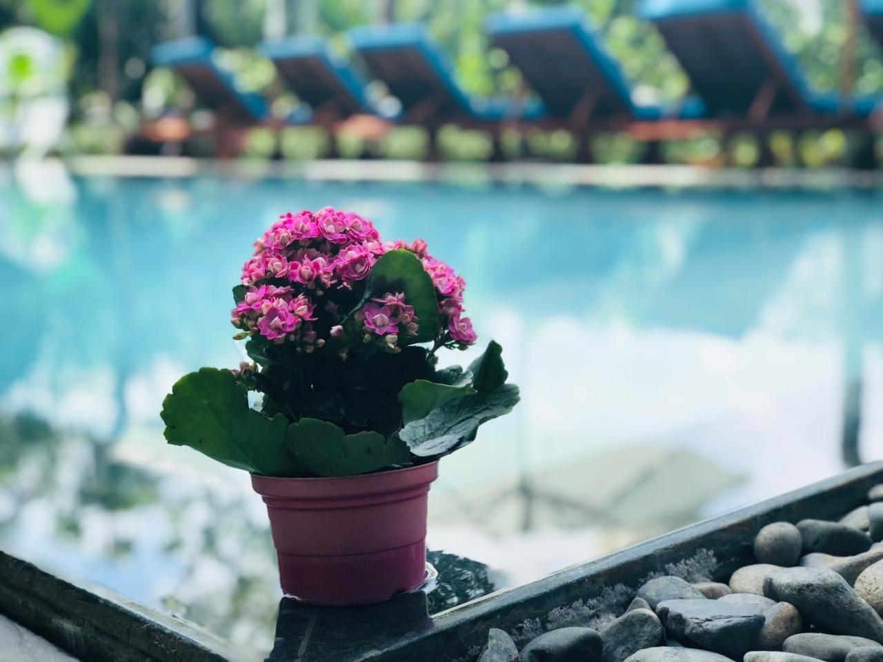 Hoi An Silverbell Villa Ngoại thất bức ảnh